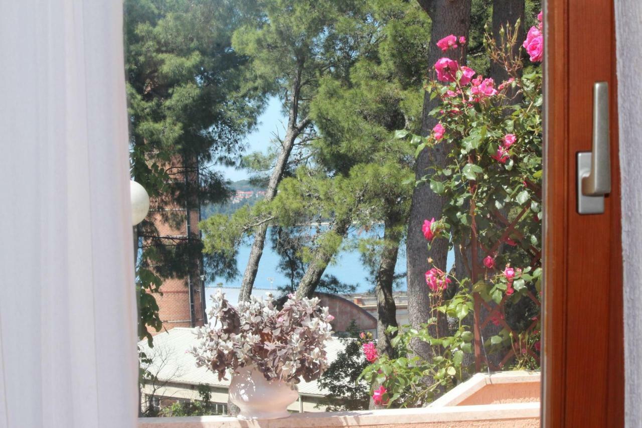 Apartments Villa Lucu Rovinj Rum bild